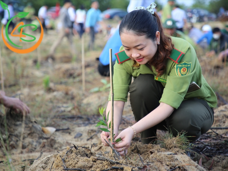 Có mấy phương thức trồng rừng phổ cập hiện nay