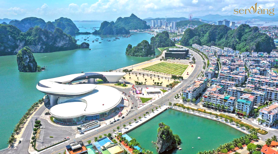 Top  thức giấc thành giàu tuyệt nhất việt nam