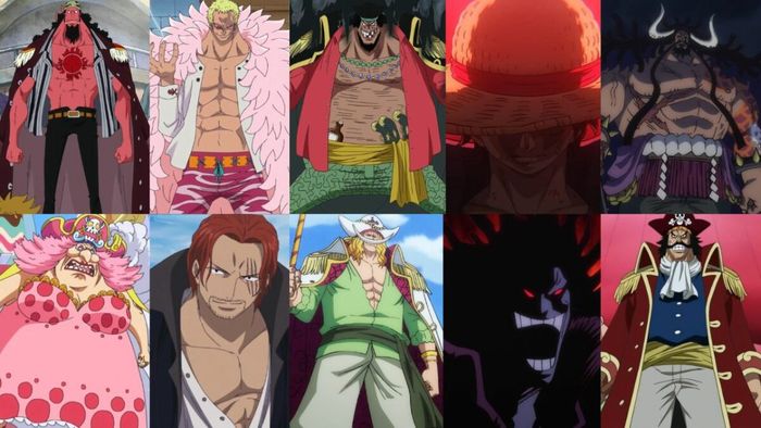 Những băng hải tặc mạnh nhất trong one piece phần nhiều thời đại xếp hạng Những băng hải tặc mạnh nhất trong one piece hồ hết thời đại xếp hạng